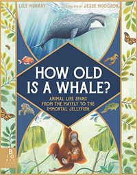 How Old Is a Whale?